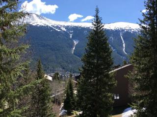 Spruce Lodge - Copper Mountain - 1
