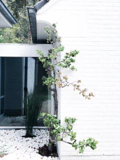 The Oak - Wavre - 7