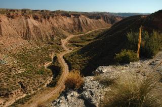Cuevas el Torriblanco - Gorafe - 7