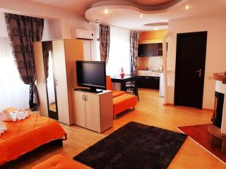 Pensiunea Red Rose Apartments - 9