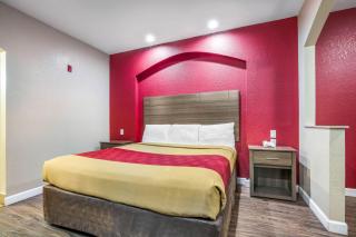 Econo Lodge Inn & Suites Horn Lake - Southhaven - 6