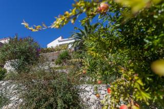 Seaside holiday house Rastici, Ciovo - 18478 - Trogir - 4