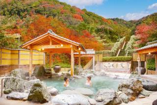 Ooedo Onsen Monogatari Hotel Reoma no Mori - Marugame - 3
