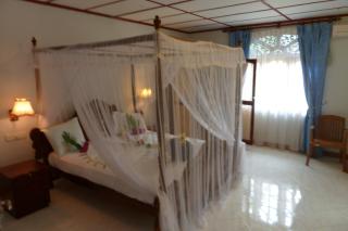 Bougain Villa - 7
