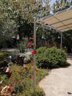 Holiday Home Ava1 with pool & Holiday Home Ava2 with whirlpool - Baderna - 3