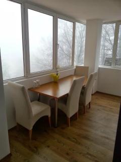 Cabana Trei Brazi - Predeal - 6