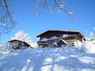 Chalet Les Chardons - Gérardmer - 0
