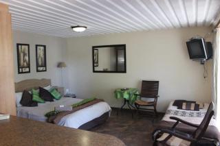 Lion's Den guesthouse - 4