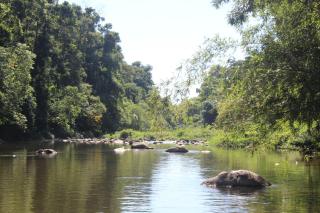 Pousada Ponte Branca - 8