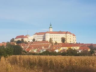 Ubytování U Špačků Pálava - Novosedly - 3