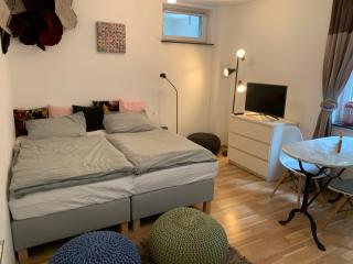 Helle Souterrainwohnung mit Komfort - Monaco di Baviera - 6