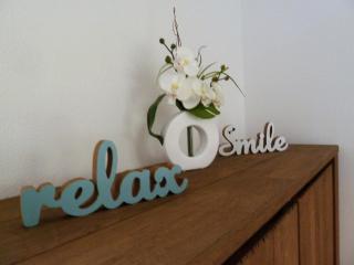 Vacation home Zwaantje #DKR2 - 3