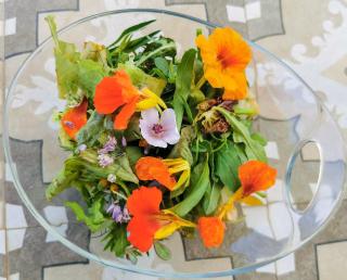 Country House Erba Regina - Frascati - 4