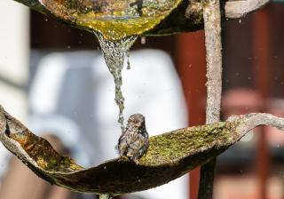 The Montagu Arms - 1