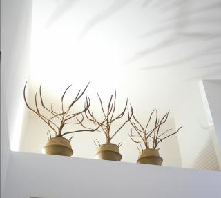 Theatron Houses - Catania - 5