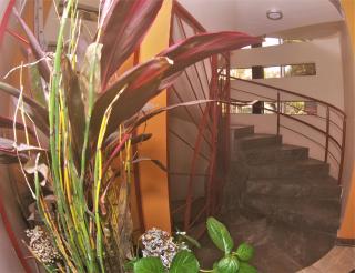 Hotel Jard Inn Adult Only - Città del Messico - 5