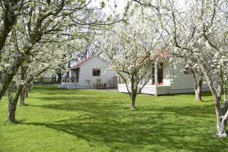 Terracotta Lodge & Cottages - 0