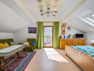 Flat on a farm near the Arber ski area - Neukirchen beim Heiligen Blut - 4