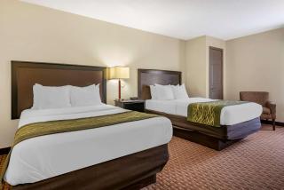 Comfort Inn & Suites Warsaw near US-30 - Warsaw - 4