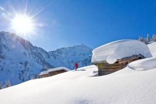 Ferienwohnungen Lehenhof - Alpbach - 1