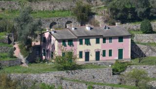 Villa Olivari - apt la Salvia - San Rocco - 0