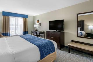 Comfort Inn - Sullivan - 4