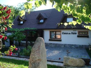 Casa din Vale - 4
