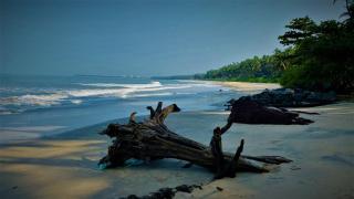 White Shell Beach House - Kannur - 1