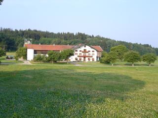 Bild 9