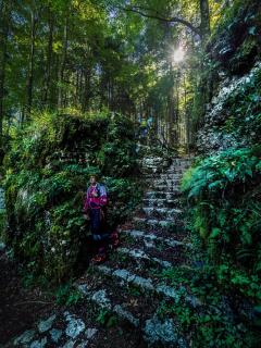 Trentino Apartments - San Lorenzo - Folgaria - 1