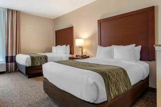 Comfort Inn Meridian - Bonita Lakes - Meridian - 3