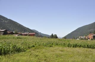 Anemo Suite - Uzungöl - 2