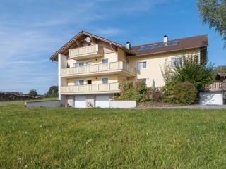 Spacious apartment in the Bavarian Forest - Viechtach - 4