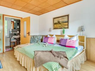 Flat in Ilsenburger Harz near the ski area - Ilsenburg - 6