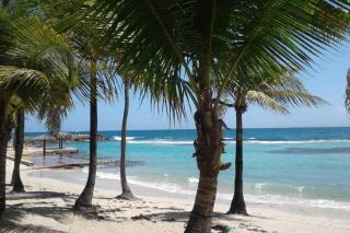 Le loft MANGANAO - 8