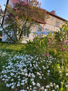 Skrunda Apartments Rustic - Skrunda - 9
