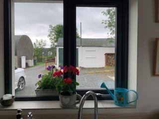Avoca Farm - Holywood - 3