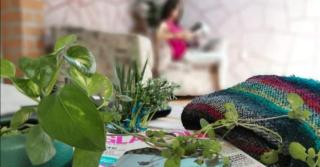 Casa Dahlia Querétaro - 1