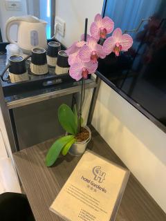 Hotel Gardenia - 6