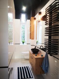 Victoria Apartment - Gliwice - 3