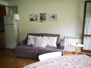 Apartamentos Aguas Limpias - Sallent de Gállego - 5