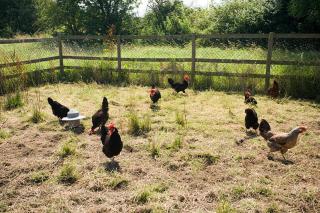 Doubleton Farm Cottages - Weston-super-Mare - 2