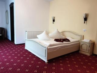 Vila Vraja Muntelui - 8