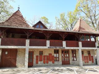 Kiskastély Fogadó-Étterem - Füzesgyarmat - 4