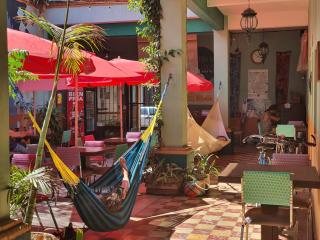 Hierba De Conejo Hostel - Città di Oaxaca - 3
