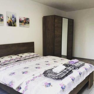 Apartman MONA Bijeljina - Bijeljina - 2