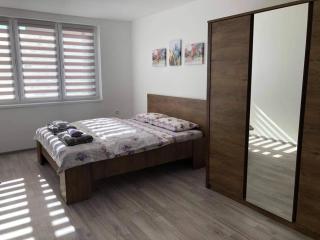 Apartman MONA Bijeljina - Bijeljina - 3