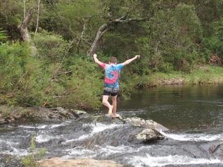 Dorrigo Bush Pepper Retreat - Deer Vale - 3