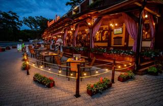 Pensiune Restaurant Lyra - Corunca - 3