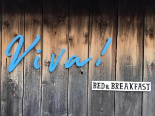 ViVa B&B Urmein - Urmein - 7